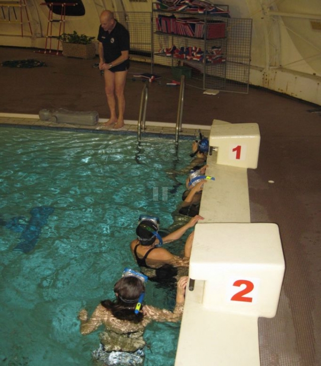  游泳中的 Palmee 远足水池